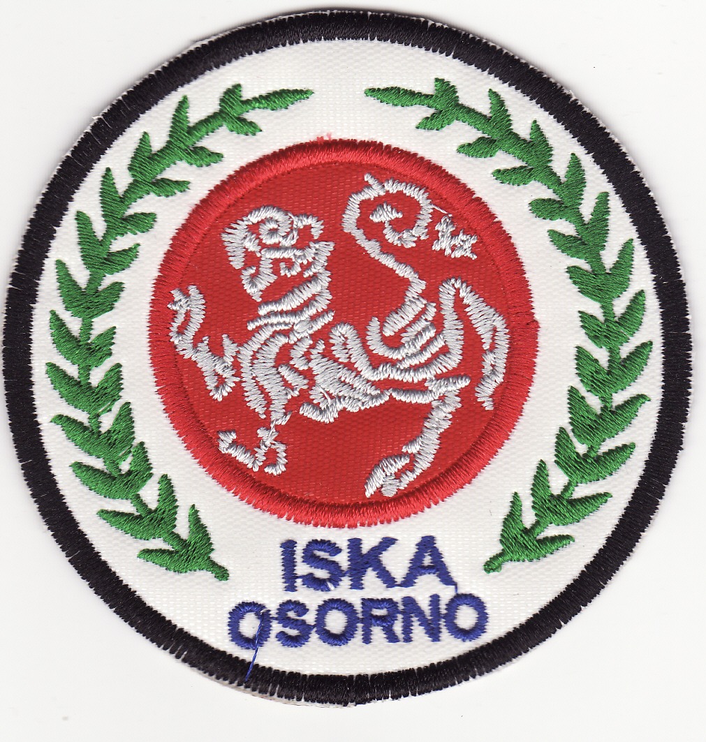 insignia dojo iska osorno